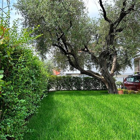 Bed and Breakfast Casa Ciliegi 3 Marostica Exterior foto